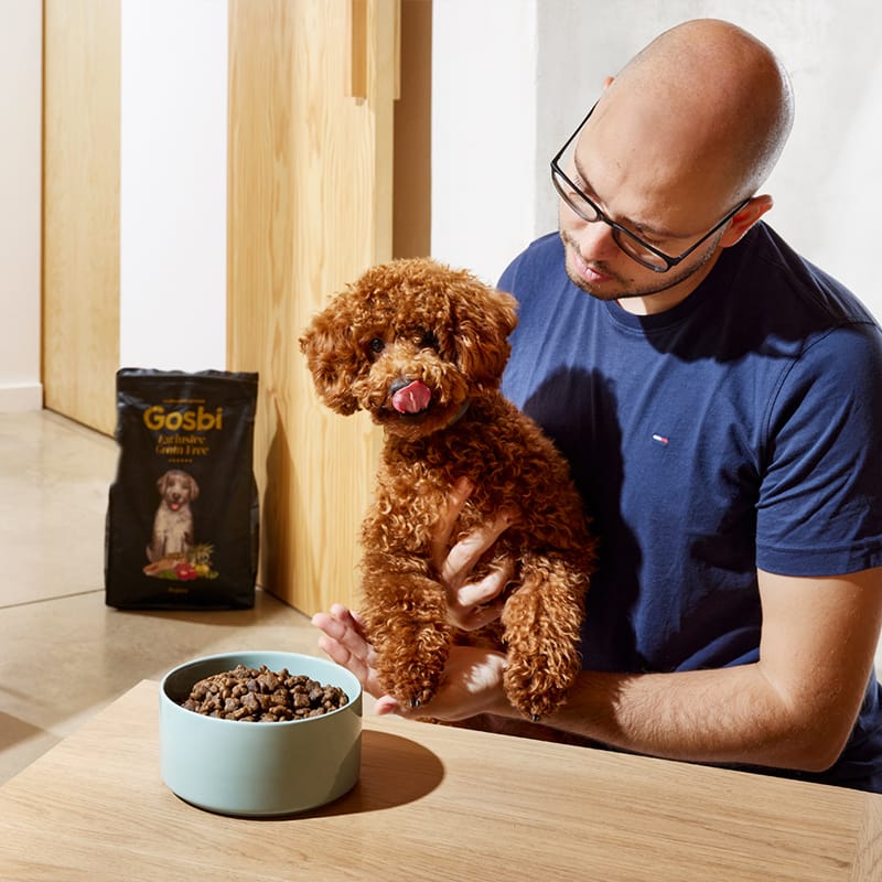 Exclusive Grain Free Dog Puppy Medium Fish with Lamb
